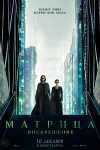 Матрица 4